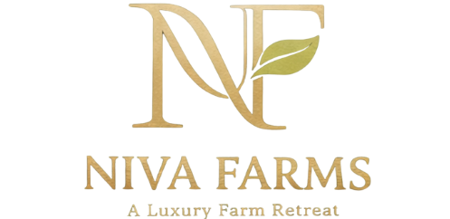 Niva Farms